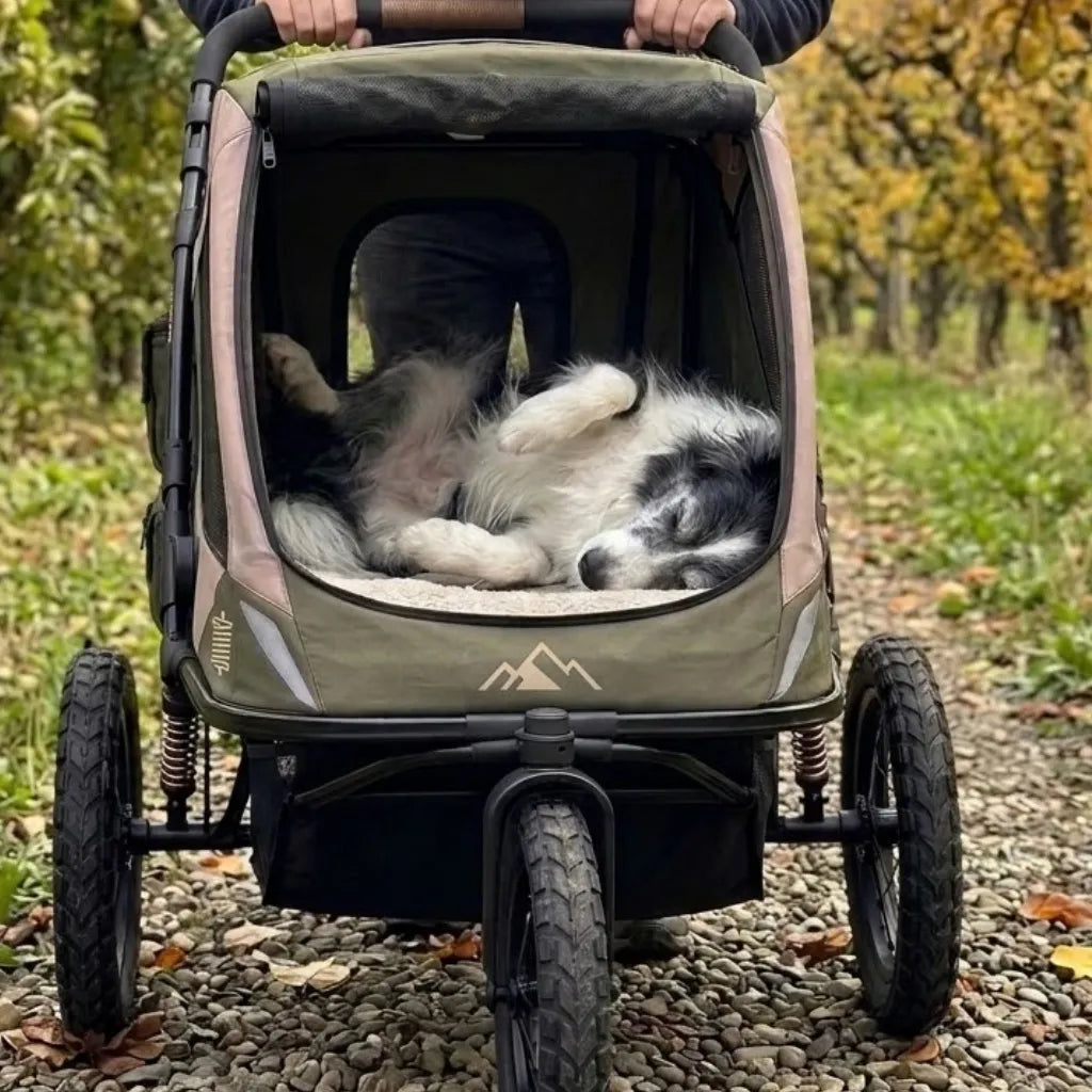 Wagcario™ TerraTrail Adventure Pet Jogger